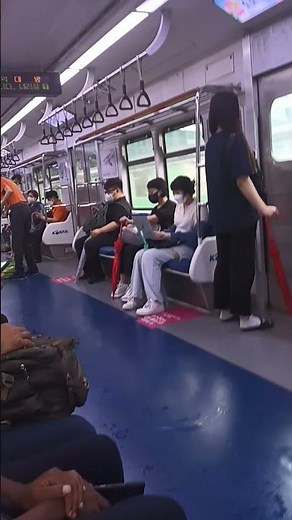 서울 지하철 1호선 빌런