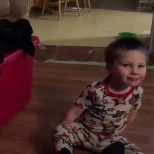 435K views · 1.4K reactions | These cats were born to pounce. | Animal Tales | Facebook