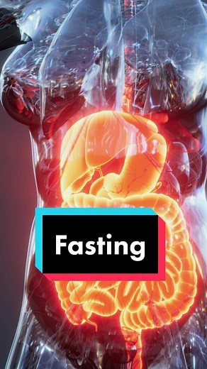 Fasting for Immune System Regeneration: Discover the Science Behind it