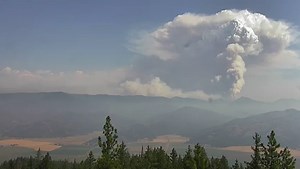 Helping Hands International, Inc.