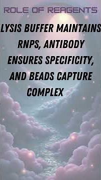 RNA Immunoprecipitation RIP seq