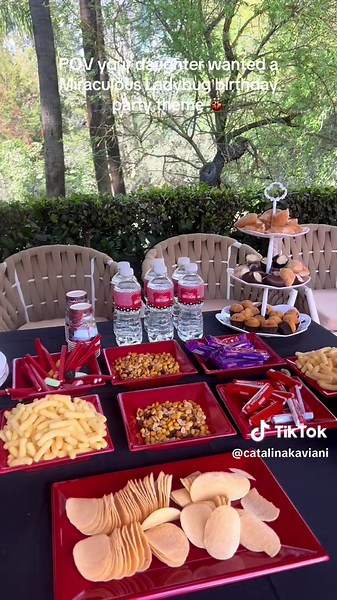 Miraculous Ladybug Birthday Theme Party 🐞❤️ #miraculousladybug #foryou #birthday