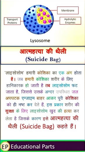 IAS Interview Question || Suicide bag || आत्महत्या की थैली #gkshorts #facts