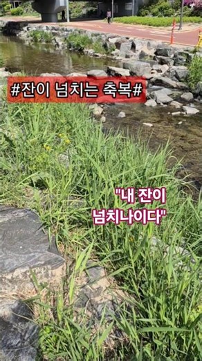 잔이 넘치는 축복 #원수#목전#상#기름#내머리에#부으심#내잔#넘치나이다#Jesus loves you