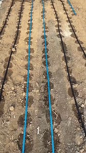 76K views · 766 reactions |  Drip Tape Showdown: Which One Fits Your...