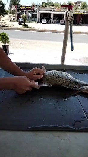 How to Clean Fish: Step-by-Step Guide