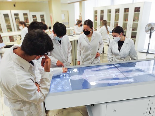 Medical Students Are Learning Anatomy From Digital Cadavers. Can Technology Ever Replace Real Human Bodies?