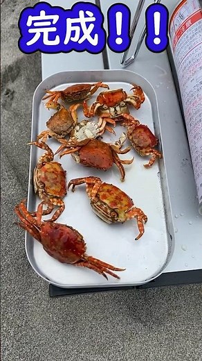 [Crispy and delicious!] Deep-fried sea crab 2023 #shorts #gourmet #camping #sea #seaview #seafood...