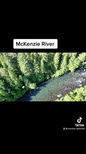 The McKenzie River is one of Oregon’s iconic trout rivers #flyfishing #eugene #oregon #pnw #trout #traveloregon #pnwonderland #pnwlife #flyfishinglife