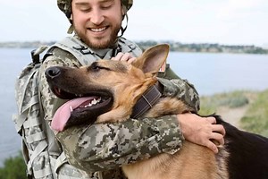 War Dogs! How Have Dogs Served in the Military, Past and Present?