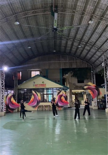 A Million Dreams: Magnificent Color Guards Performance