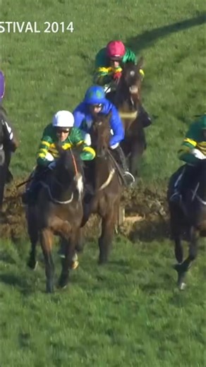 Hurricane Fly - what a racehorse! | Racing TV