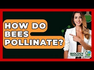 How Do Bees Pollinate? - Biology For Everyone