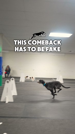 42K views · 701 reactions | AI is getting out of hand | RundownRiver | Facebook