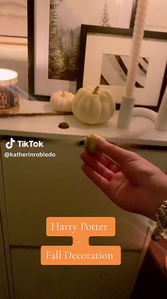 Harry Potter Fall Decoration for Indoor Patio #harrypotter #harrypotterfan #fall #interiordesign #halloween
