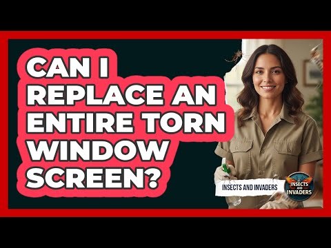 Can I Replace An Entire Torn Window Screen?