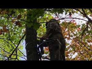 PART 38 Climbing tree stand 2026