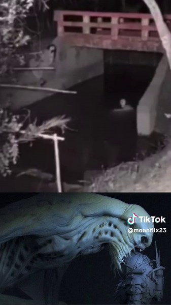 #paranormal #ghost #haunted #ghosts #paranormalactivity #horror #creepy #paranormalinvestigation #scary #spooky #ghosthunting #spiritual #supernatural #ufo #halloween #spirit #spirits #ghosthunters #podcast #paranormalinvestigator #terror #ghoststories #hauntedhouse #aliens #haunting #alien #supranatural #pengasihan #ghosthunter #ghostadventures