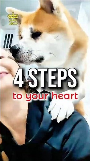 How to Survive a Kiss Attack 😂