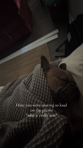 Frenchie Owners Unite: Share Your Dog's Snoring Moments