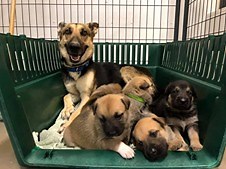 2.3K views · 234 reactions | "Guess what babies? You are ALL going...