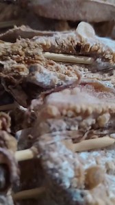 Inihaw na dried pusit 🦑 #foodtrip #inihawnadriedpusit | Maemae