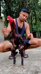 279K views · 4.7K reactions | Java Aseel on Reels | Facebook