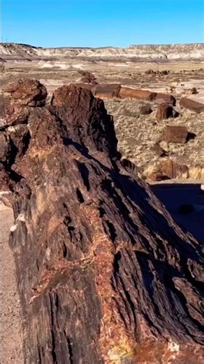 Petrified Forest History Lesson #outdoors #education #geology #adventurebytes #nationalparks