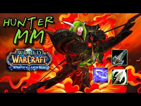 MM Hunter PvP +2400 - Wotlk Classic