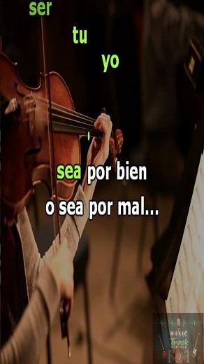 #karaoke Entrega total - Javier Solís