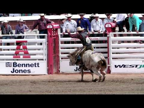 Rodeo 101 - Bull Riding