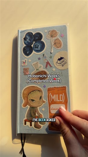 Complete Look at My Hobonichi Weeks Journal