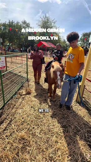 Green Meadows Farm: A Hidden NYC Farm Adventure in Brooklyn