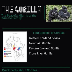 Multimodality & Author's Craft