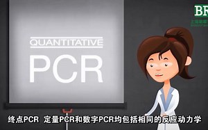实时荧光定量PCR原理及RT-PCR（qPCR）基础知识