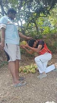magadheera spoof part -3 coconut challenge #coconut #comedy #magadheera #trending #funny #rcb