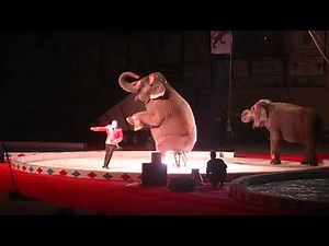 Aladdin Shrine Circus