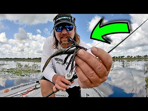 HOW do PRO ANGLERS Fish a Swim Jig?!?