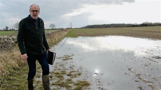 Impact of heavy rain and flooding on UK crops