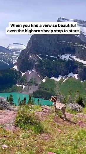 3.1K views · 24 reactions | This is the best hike in Glacier National...