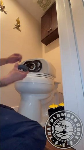 Replacing Kohler Flush Valve | Plumbing Clip