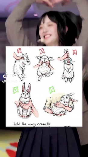 Caring for Your Pet Rabbit: Tips and Tricks