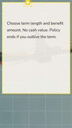 What is term life insurance?