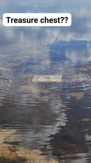 Addam Gould on Reels