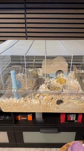 Trixie's New Home for Dwarf Hamsters