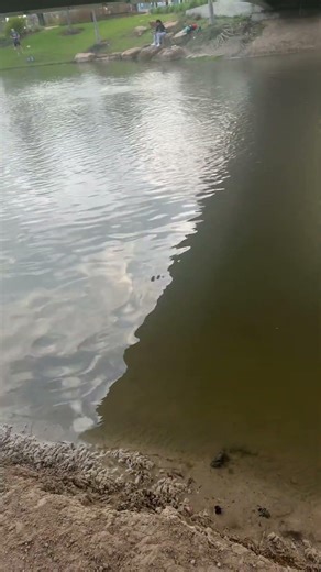 How a catch a blue￼gill in five seconds