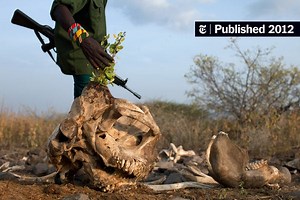 To Save Wildlife, and Tourism, Kenyans Take Up Arms