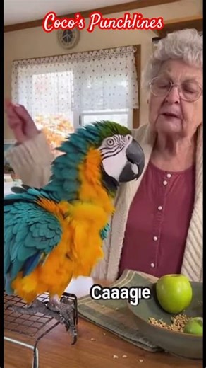 Coco fighting with grandma for chicken lol #funny