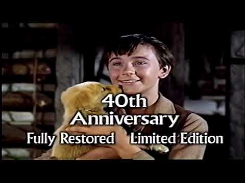 Opening to The Love Bug 1998 VHS