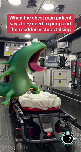 Someone get the Lucas #Meme #emshumor #lizard #foryoupage #fyp | lizards